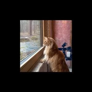 Meet your Posher, Alison